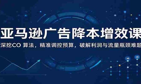 解锁亚马逊广告成本优化之道：深入剖析CO算法，精准预算调控，突破盈利与流量双重瓶颈