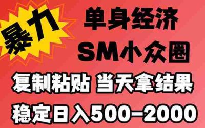 2026全球赚美元攻略：自主搭建独立平台、SEO矩阵布局、联盟推广、Pinterst精准引流及AI智能转化一网打尽